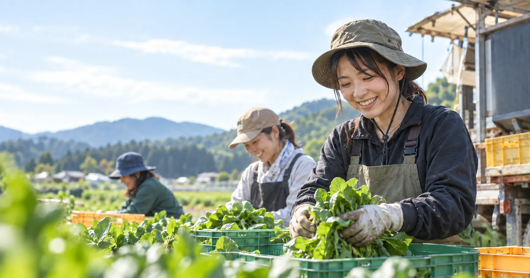 農園で収穫作業をする農家